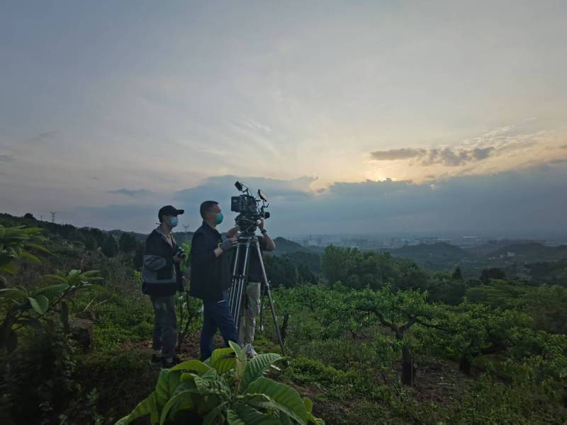 创意破圈！靖宇县电商产品宣传视频用故事化叙事引爆流量