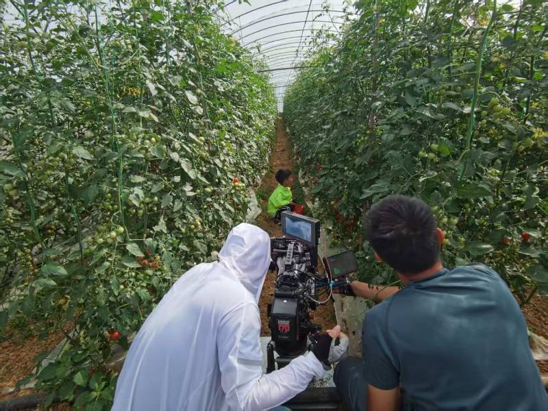 靖宇县产品宣传视频拍摄公司进阶指南，助力品牌抢占传播高地